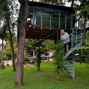 La Casa Sull'Albero