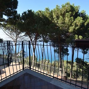 Alba Tra I Pini B&B